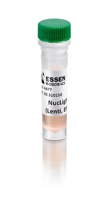 IncuCyte® Cytotox Green Reagent for counting dead cells