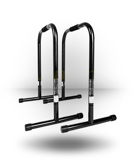 Lebert Fitness Equalizer XL Black