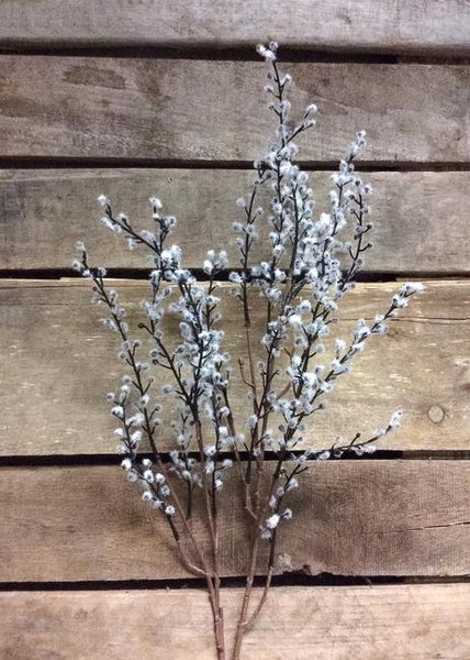 Willow Acacia Spray