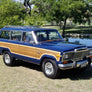 NEW WOOD MOLDING KIT to Compliment your New Wagonmaster Cherry Oak Woodgrain 1979-1986 (Open Style)