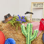 Yeehaw! Cowboy in a box Banditen gesucht Wanted Poster und Lampions