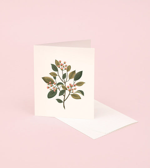 BOTANICAL SCENTED CARD – SANDALWOOD