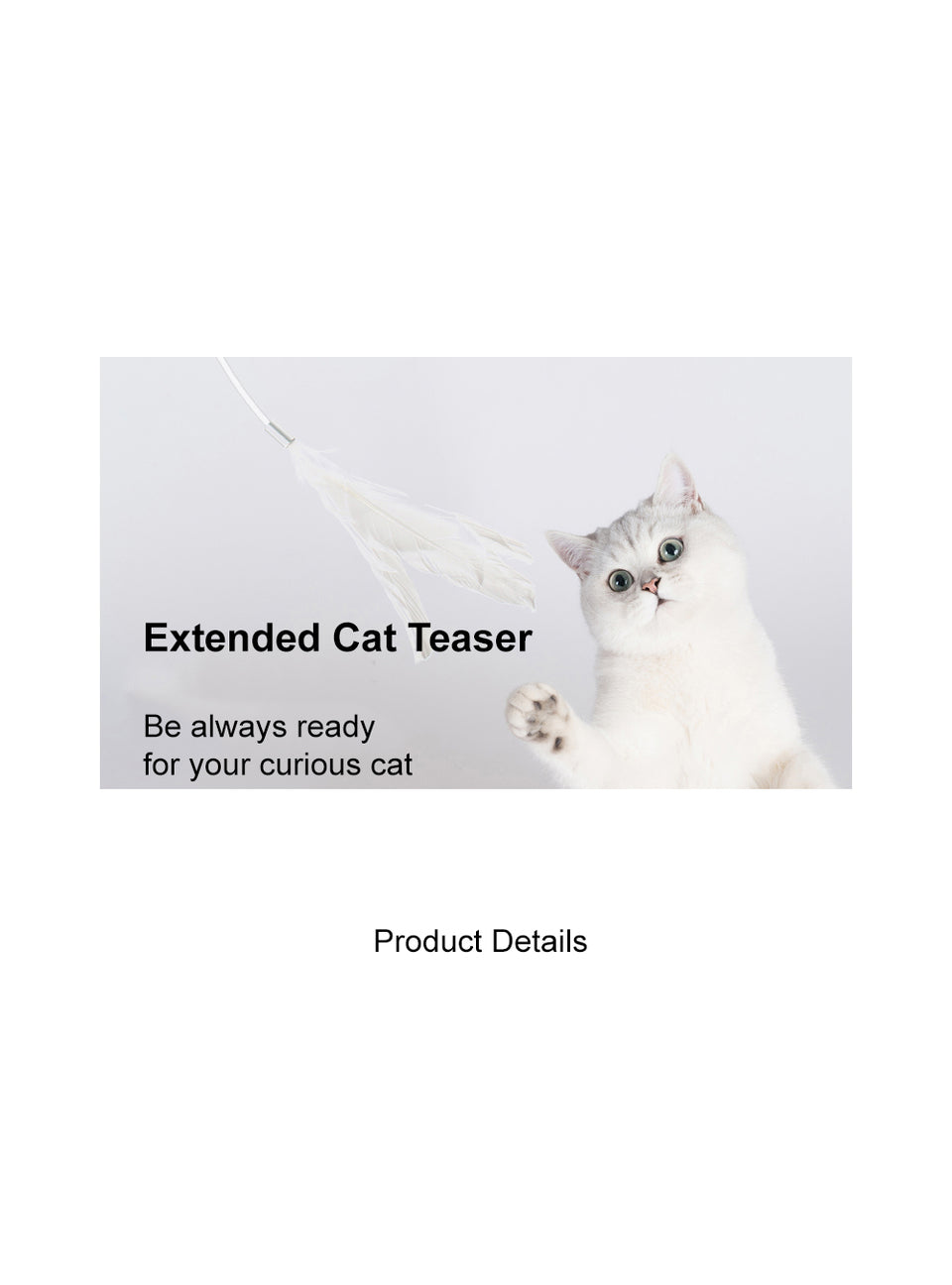 Extended Cat Teaser