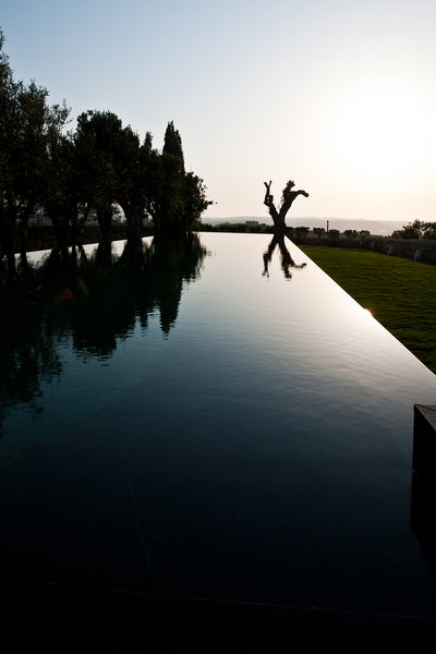 infinity pool trees reflection on water Malta natural stone