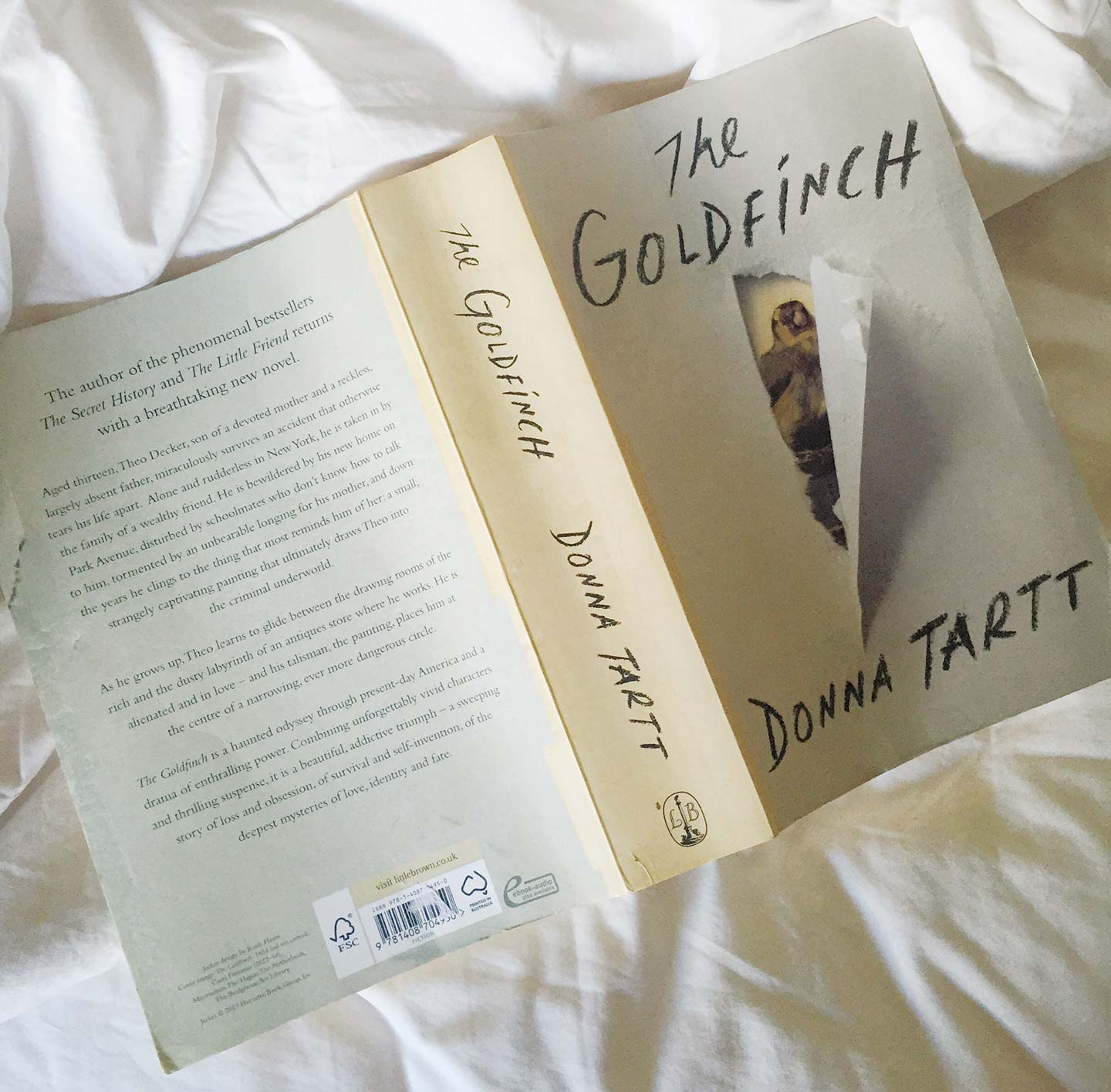 goldfinch book donna tartt reading on a bed