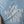 "Pro-Life Warrior" Womens Shirt