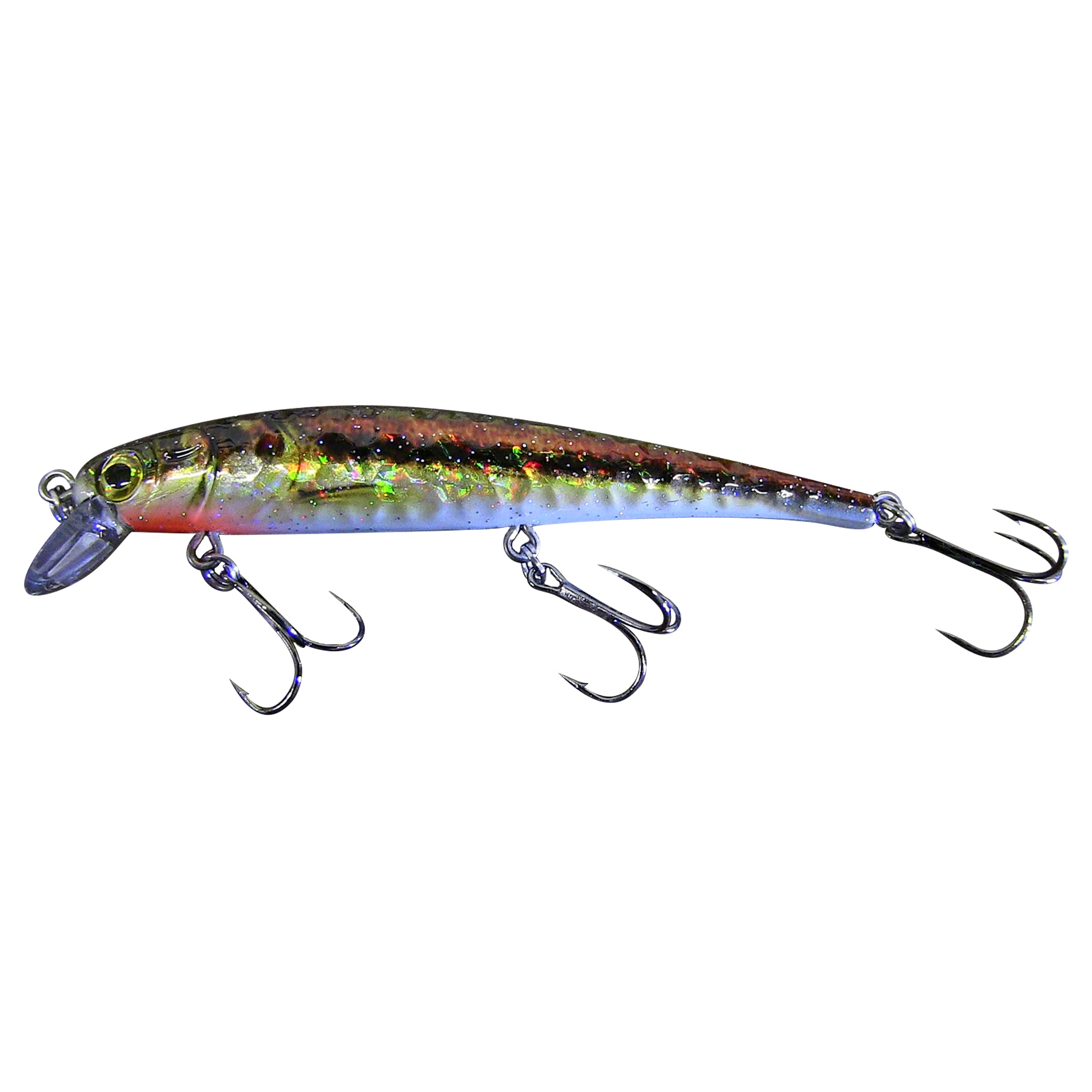 Dace Shallow Diver Live Bait Series — Reno Bait Company