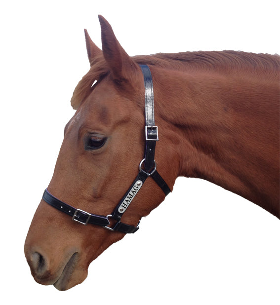 Black PVC Halter - Silver Fittings with Engraved Horse 