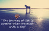The Top Ten Best Reasons to Travel with Your Pet