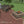 Paver Patio #C-050501-01