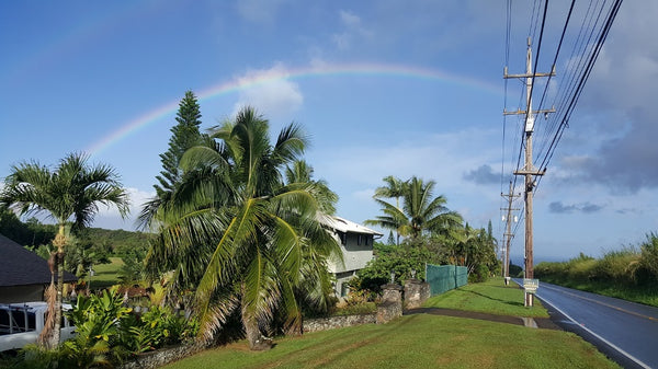 Ein Regenbogen über Maui