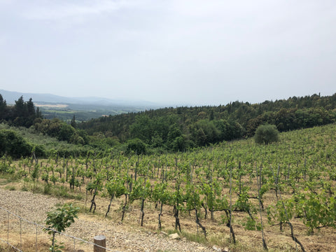Rolling hills in the wine country of Tuscany, Italy