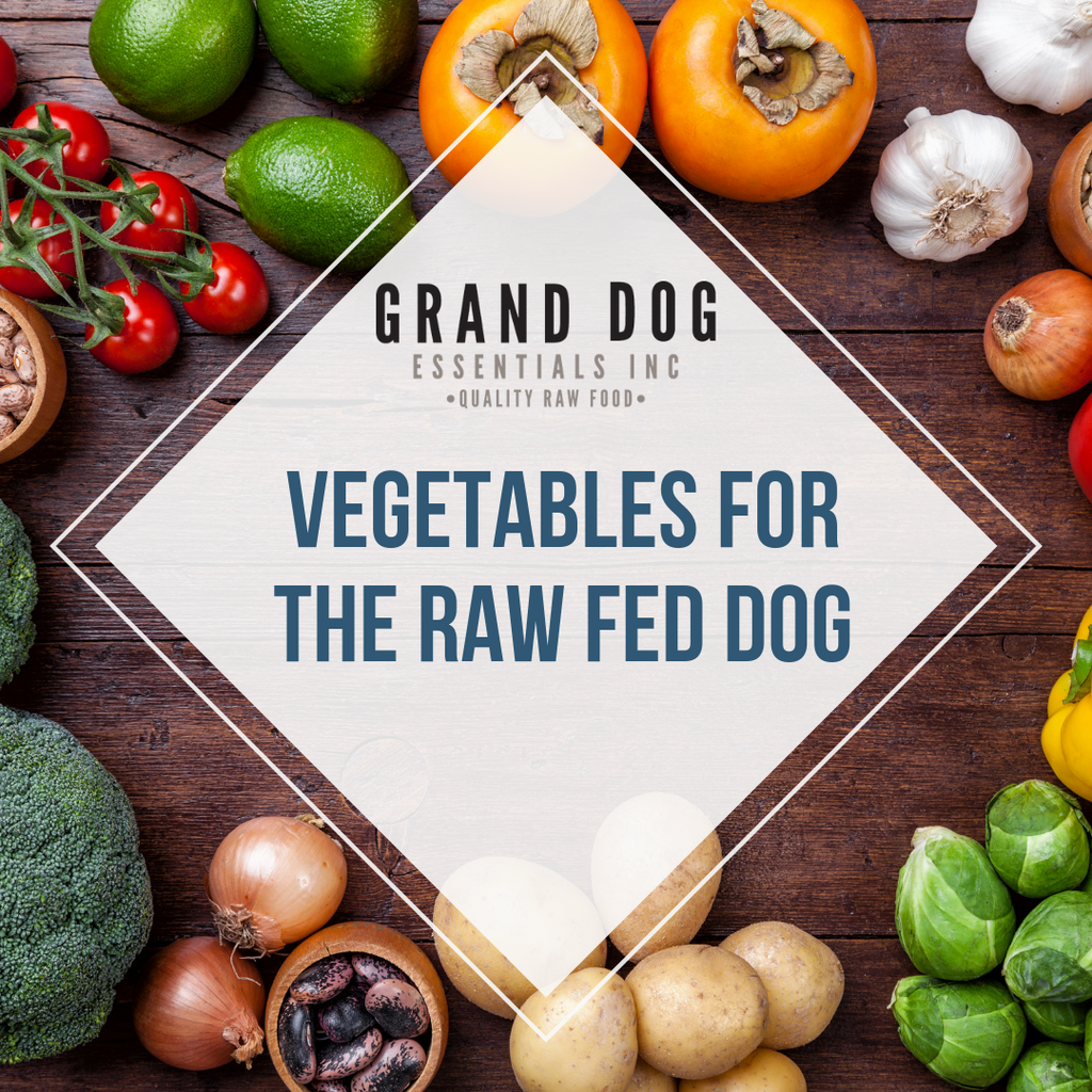Vegetables for the Raw Fed Dog – Grand Dog Essentials