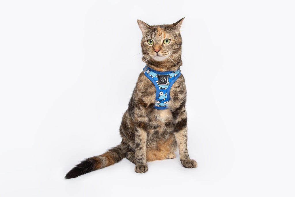Step In Cat Harness For Cats U0026 Kittens