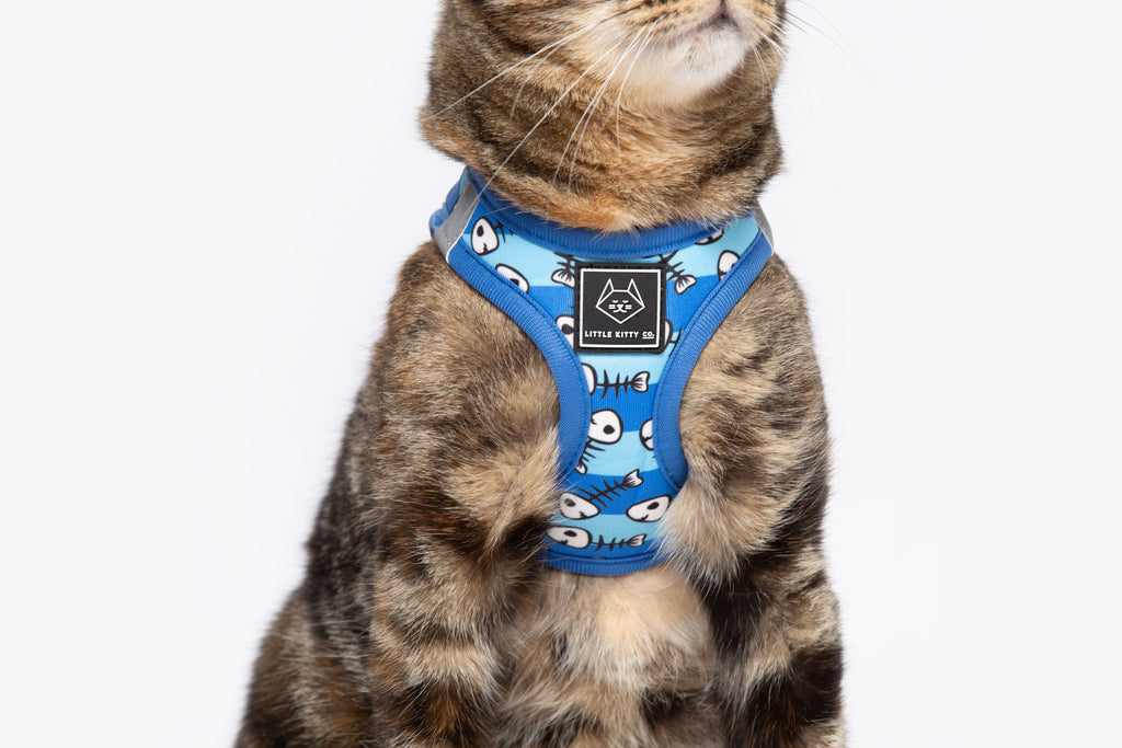 Step In Cat Harness For Cats U0026 Kittens