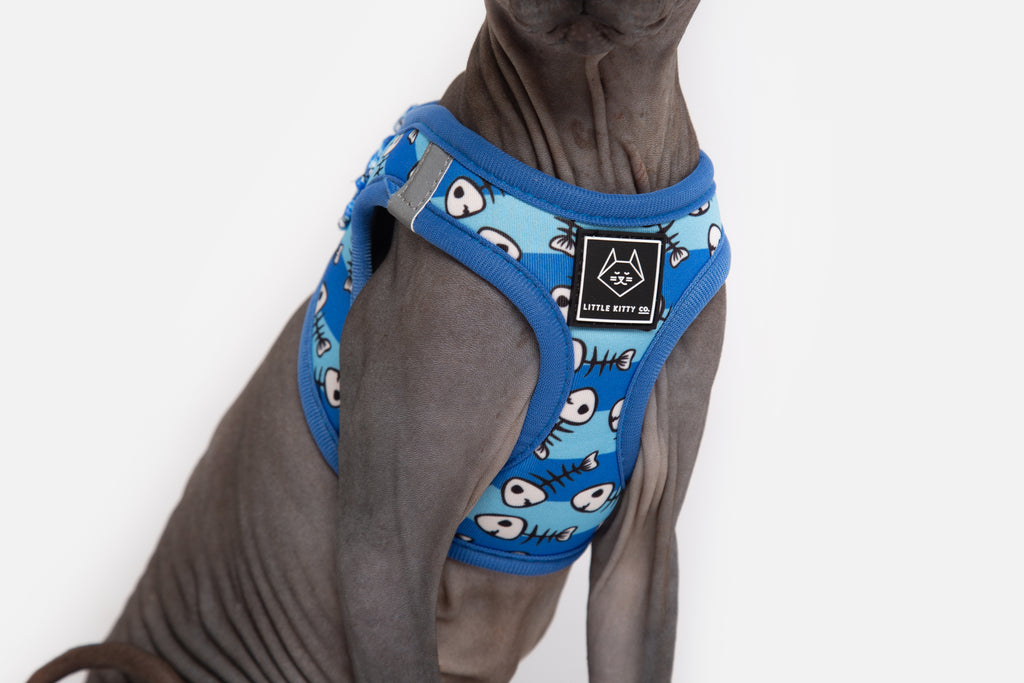 Step In Cat Harness For Cats U0026 Kittens
