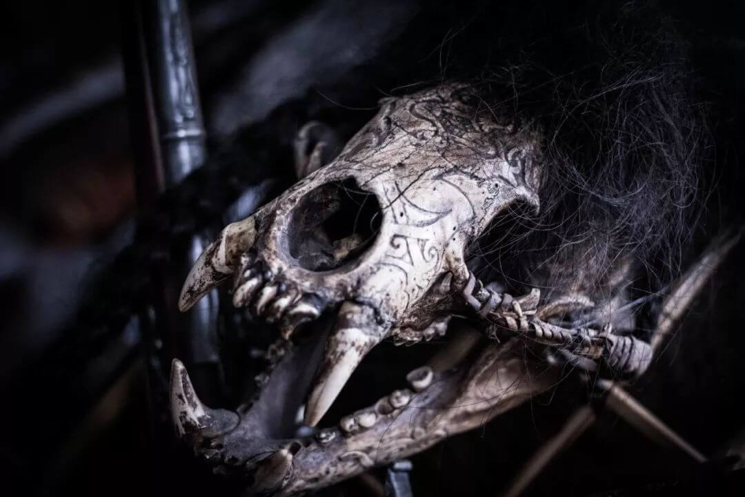 tattoo museum 