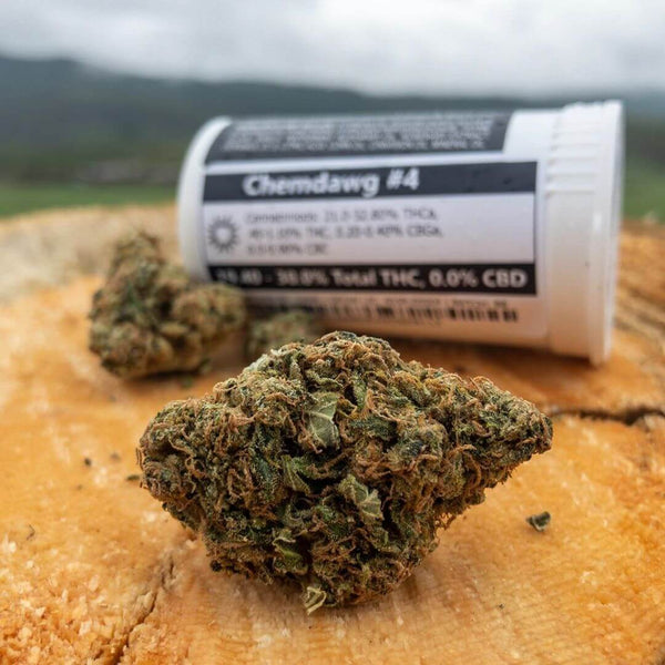 nug cannabis chemdawg strain