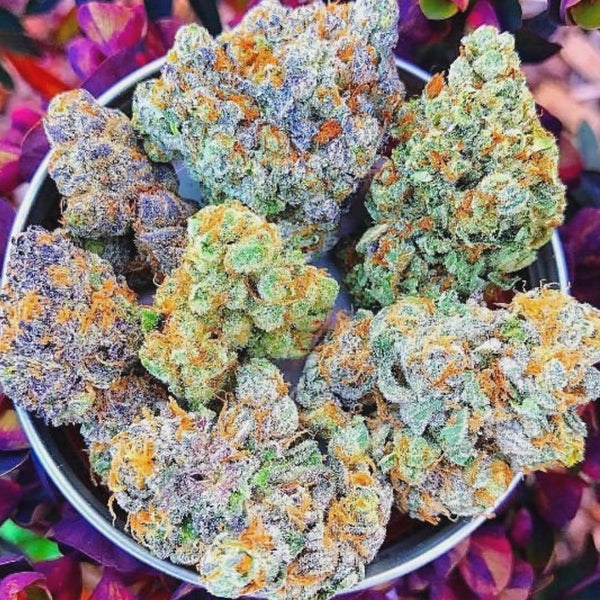 premium weed marijuana