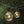 Global Party String Lights