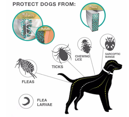 dog flea tick and mosquito collar