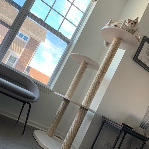 Cat Tree Review