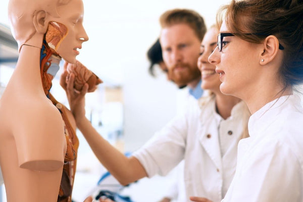 medical-school-guide-anatomy-teaching