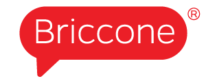 Briccone Checkout