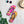 The Homefront Girl® Camo Collection -Flip-Flops