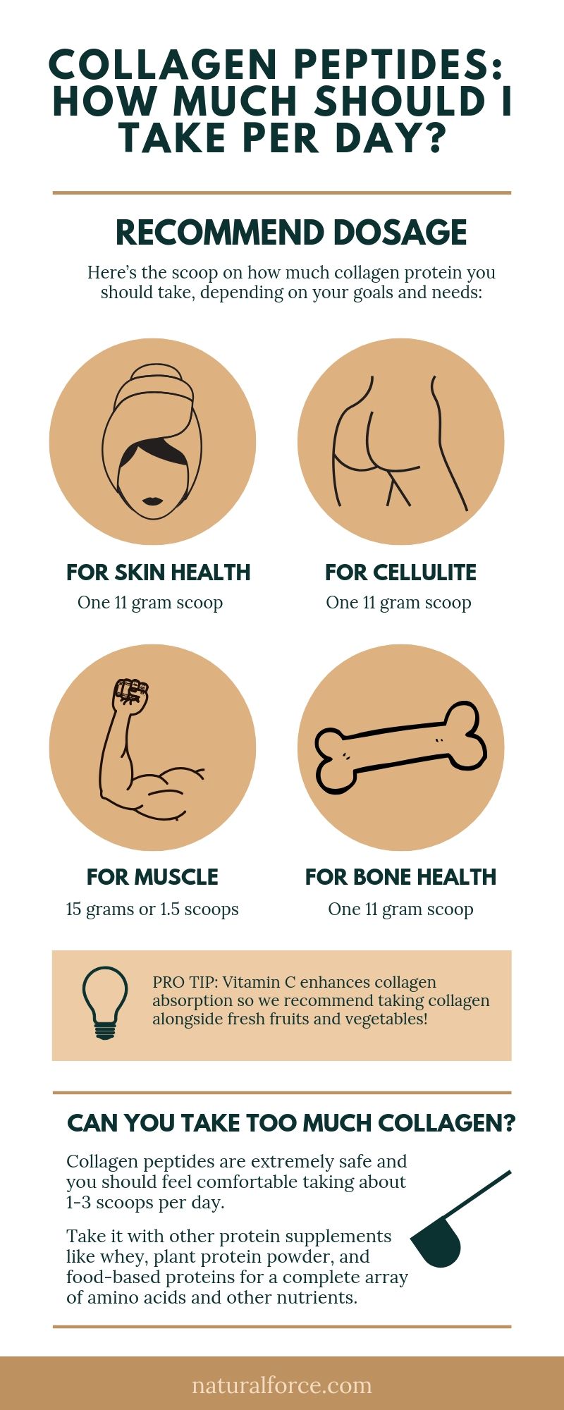 collagen peptides how much should I take infographic