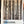 Birch Shower Curtain