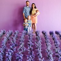 Lavender Field @story.of.marcus
