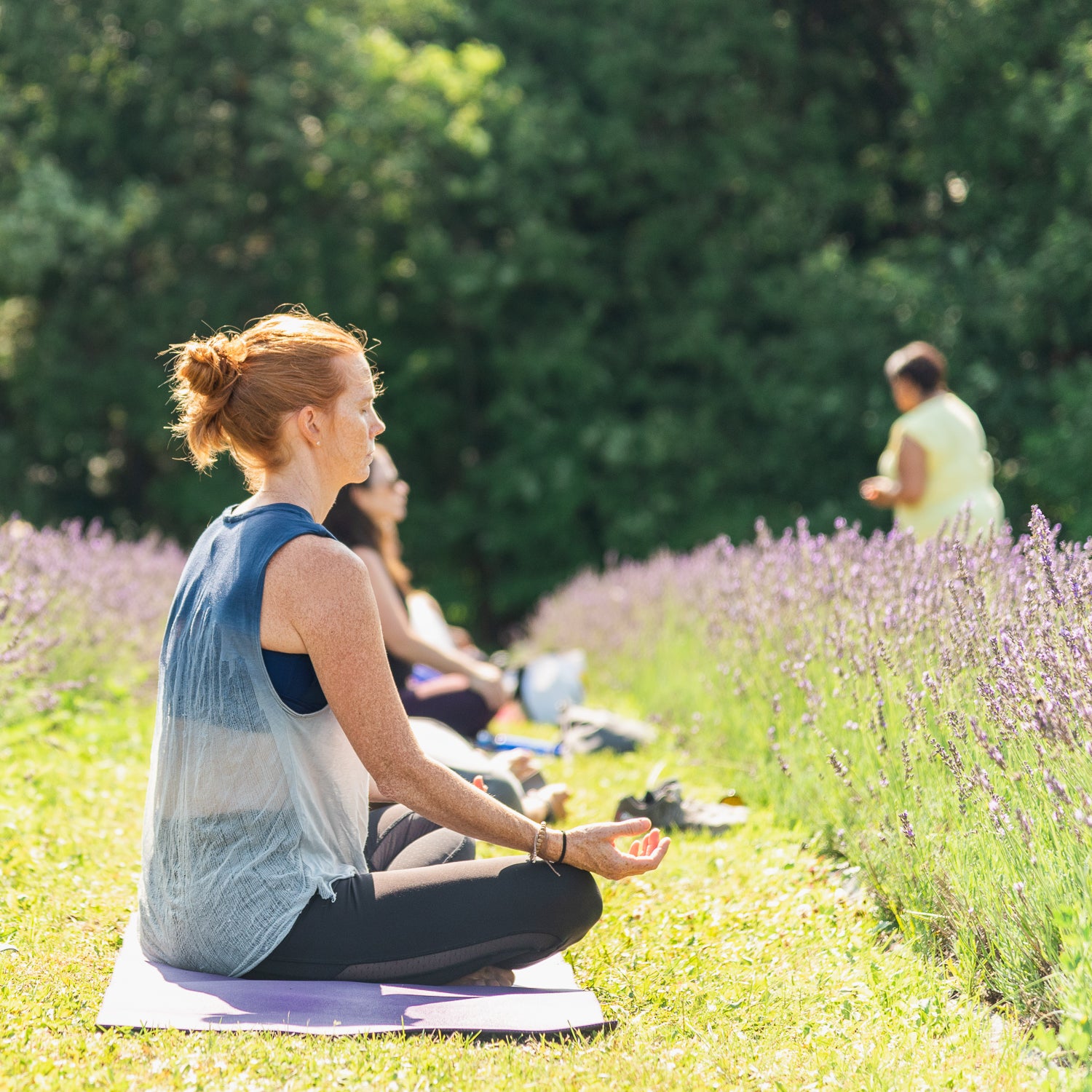 Meditation class participate sitting in the middle of lavender fields at Terre Bleu. 