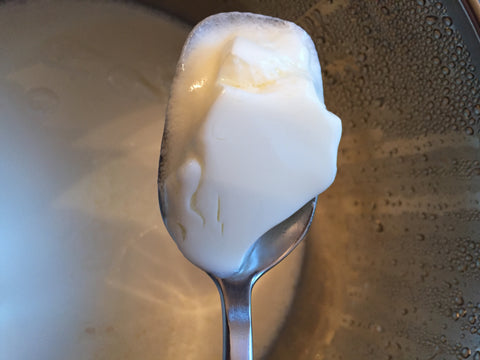 Yoghurt im Schnellkochtopf Multikocher Schnellkocher KPC-150 KeMar Kitchenware