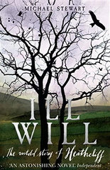 Ill Will by Michael Stewart