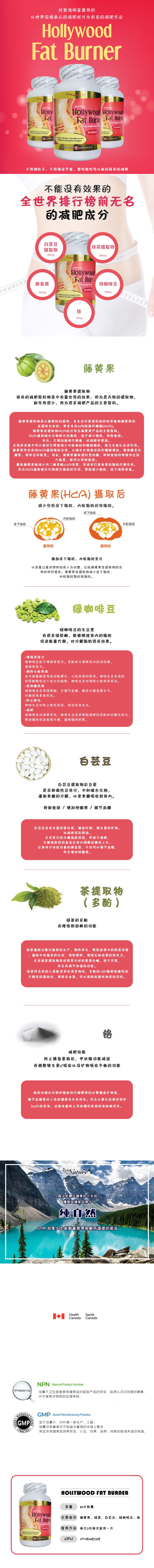 PNC Hollywood脂肪燃烧器-90粒