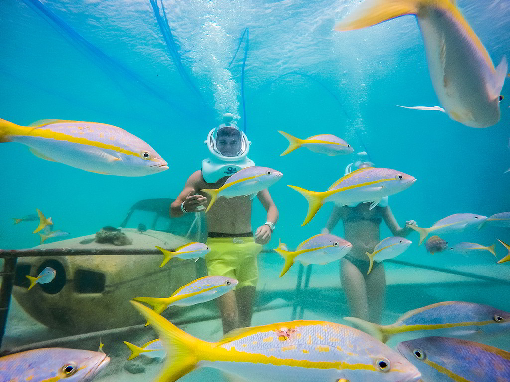 sea trek underwater helmet walk at de palm island reviews