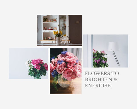 flowers to colour your home with purpose 