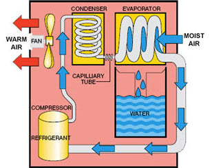 How the Ebac KOMPACT Dehumidifier Works