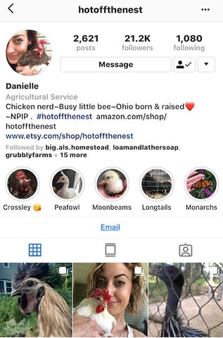 IG chicken pet parents Chicken Moms & Dads of Instagram