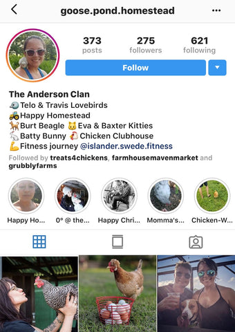 @goose.pond.homestead IG chicken pet parents Chicken Moms & Dads of Instagram