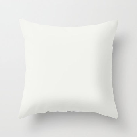 PPG Glidden Accent Color to Chinese Porcelain PPG1160-6 Delicate White PPG1001-1 Solid Color Throw Pillow