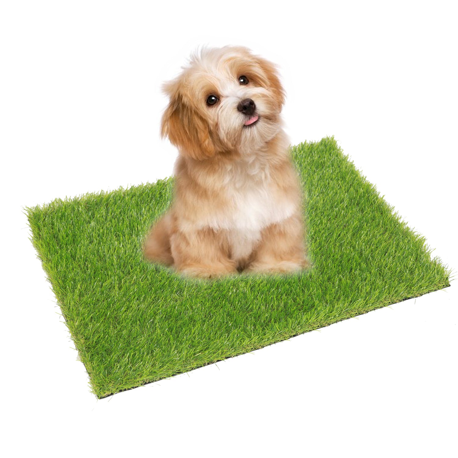 Artificial Grass Pet Turf Dog Pee Pad for Entrance Door Mat synthetic