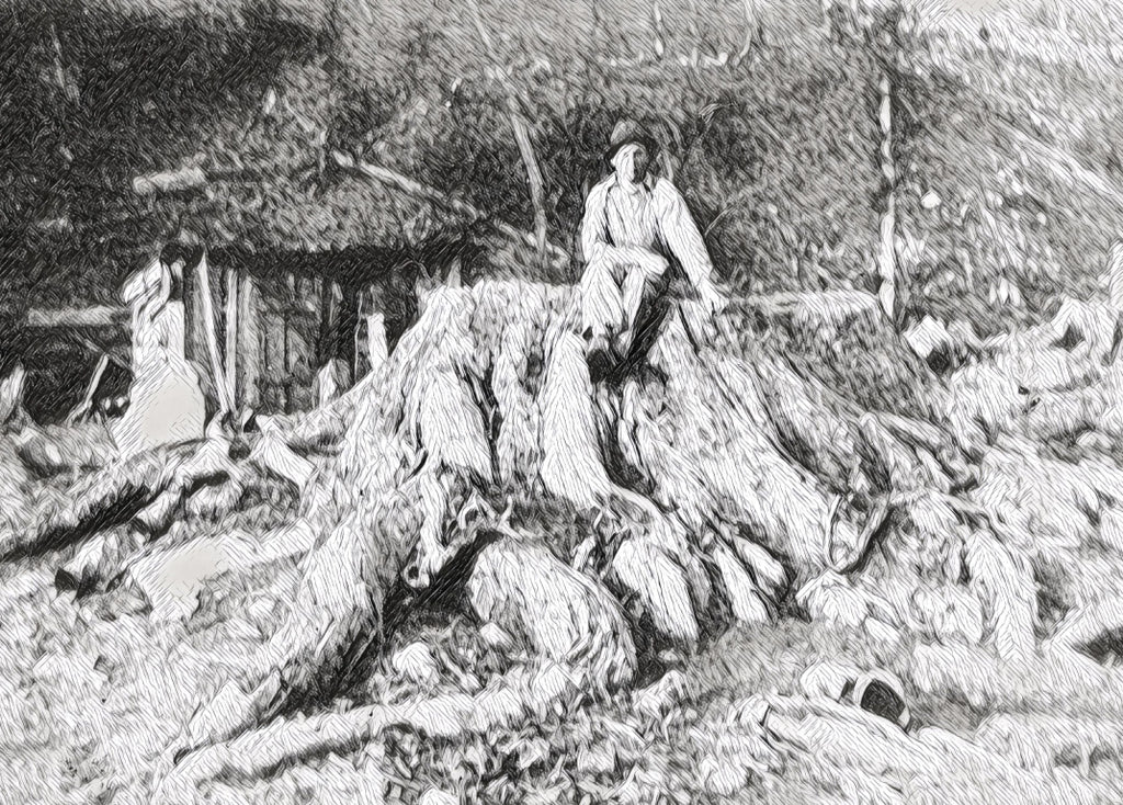 An example of the massive trees found and cut in the virgin forests of the Smoky Mountains.