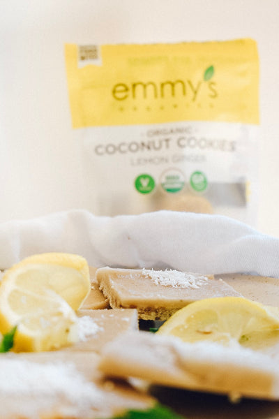 Lemon Ice Cream Slices | Emmy's Organics