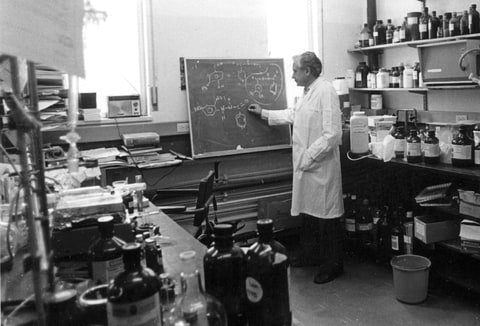 A photo of the famous Israeli organic chemist Raphael Mechoulam in his laboratory in front of a chalkboard.