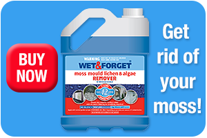 Buy Wet and Forget for Moss Removal