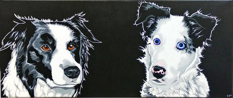 Two Collies