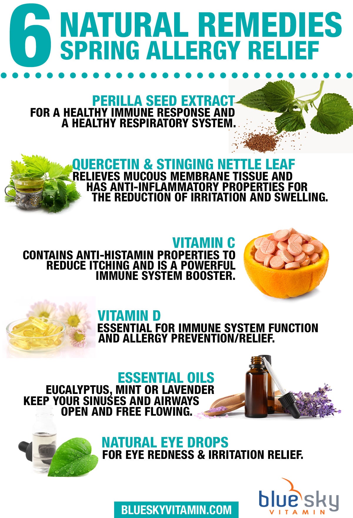 6 Natural Remedies for Spring Allergy Relief Infographic