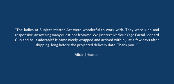 A positive testimonial about the excellent service Subject Matter Art provided, by a client in Houston.